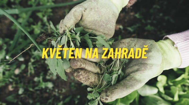 Květen na zahradě